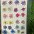 Pressed gypsy Flower - 24 in 1 F19