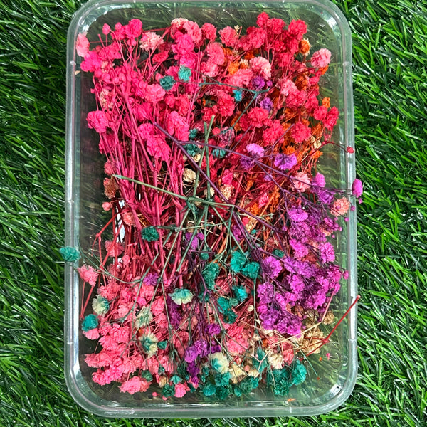 Baby Breath Dry Flower- Mixed