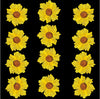 Pressed Wild dry flower yellow - 12 Pcs