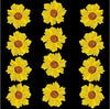 Pressed Wild dry flower yellow - 12 Pcs F3