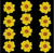 Pressed Wild dry flower yellow - 12 Pcs F3