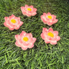 Red Lotus - Set of 5 Miniatures