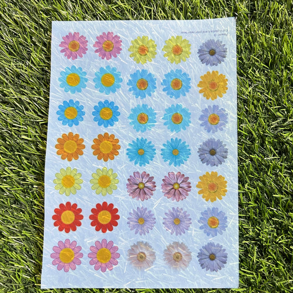 Insert A5 sheet Butterfly - INS15