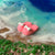 Miniature Slipper - Pink