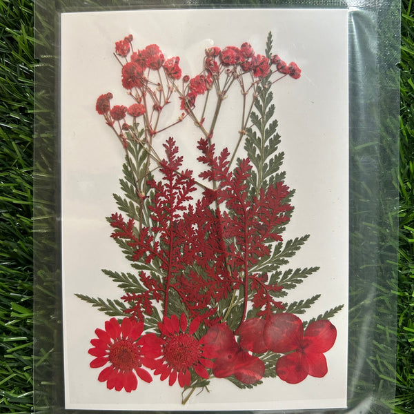 Pressed Flowers 10 in 1 (Red) -F24