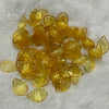Petals for Decoration - Yellow
