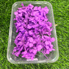 Hydrangea Dry Flower - Purple