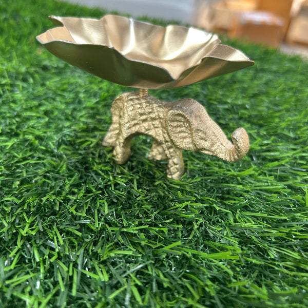Elephant Urli