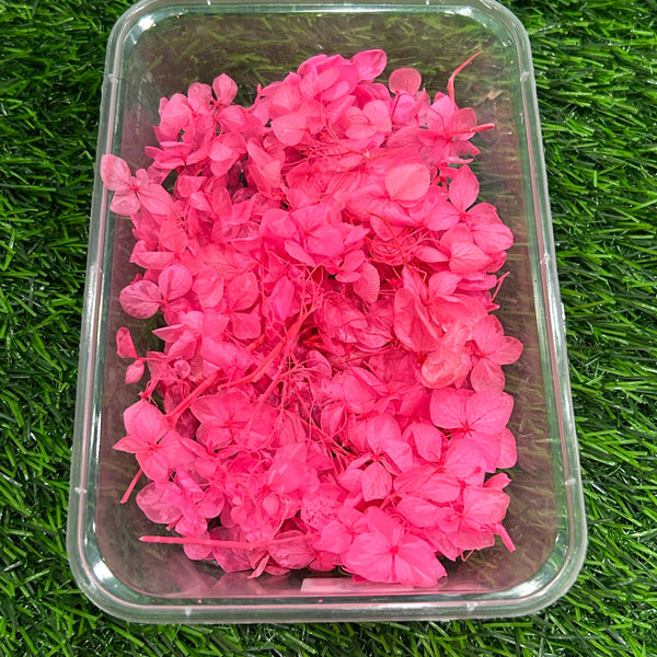 Hydrangea Dry Flower - Pink