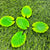 Lotus Leaf - Set of 5 Miniatures