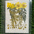 Pressed Flowers 10 in 1 (Yellow) -F23