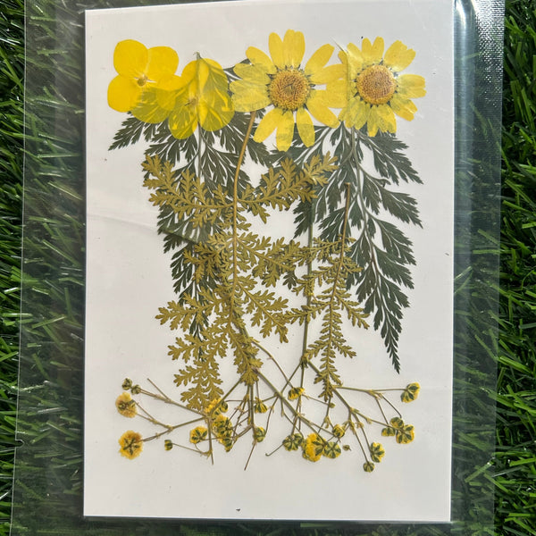 Pressed Flowers 10 in 1 (Yellow) -F23