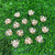 Decorative pearl stone