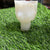 Tulip Bouquet Mould