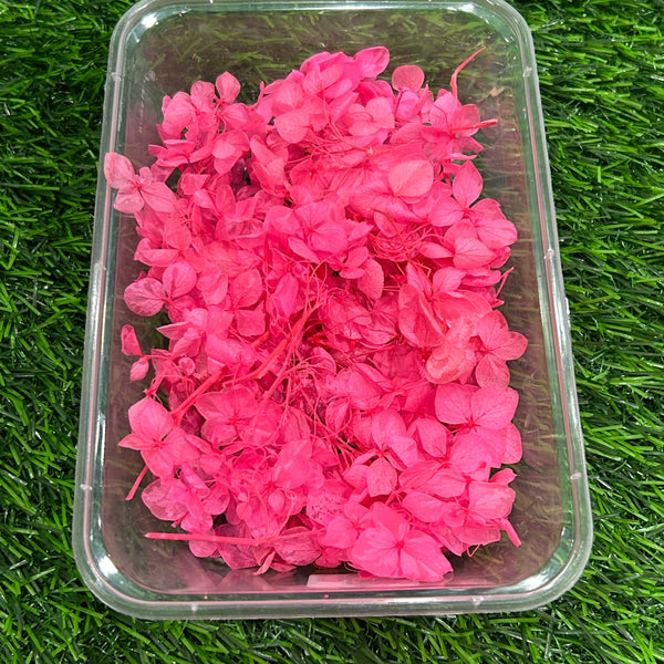 Hydrangea Dry Flower - Pink