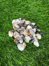 Sea shells mixed - 50 GMs