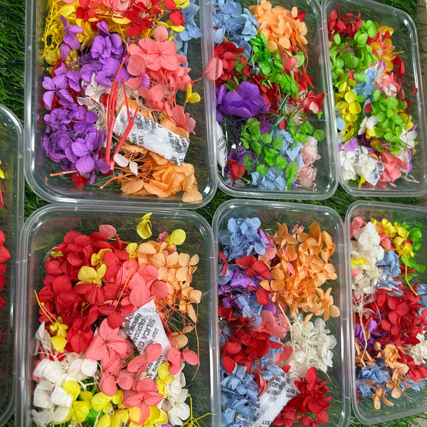 Hydrangea Dry Flower - Mixed