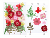 23 in 1 pressed flower F4