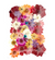 Pressed flower F18 40 in 1