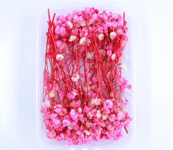 Baby Breath Dry Flower- Pink