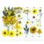 Pressed Flower Yellow- 25 in 1