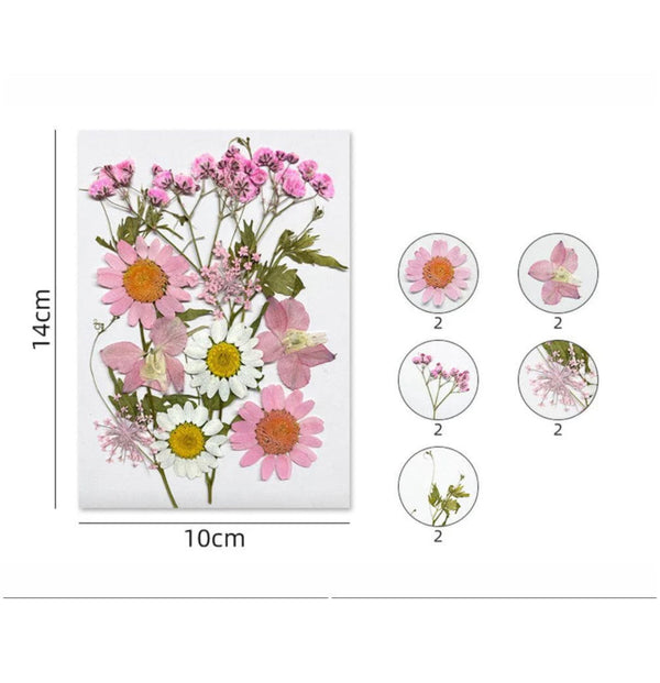 Pressed flowers 12 in 1 ( Pink ) - F7