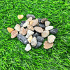 Pebbles- 200 GMS
