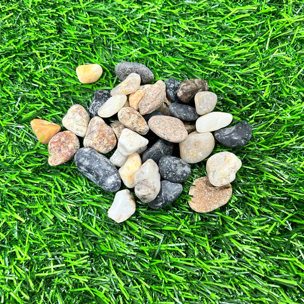 Pebbles- 200 GMS