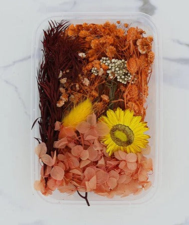 Dried flower Box - Orange Theme
