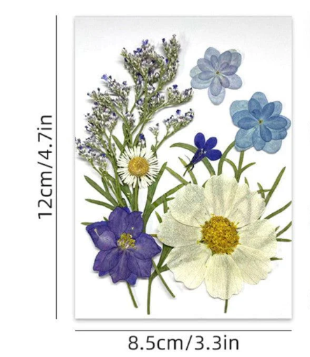 10 In 1 Pressed Flowers F4