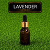 Fragrance Lavender
