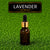 Fragrance Lavender