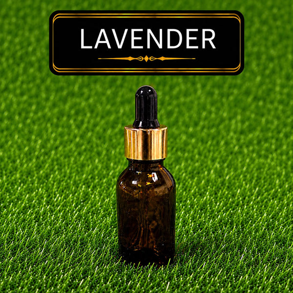 Fragrance Lavender