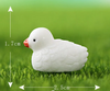 Miniature Duck - White