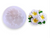 Plumeria Flower Mould