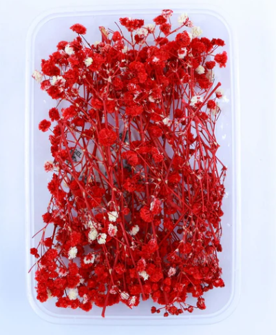 Baby Breath Dry Flower- Red