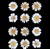 12 in 1 pressed flower - White F6